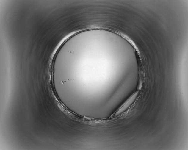 X0000086281148200704262031