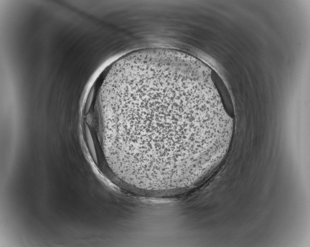 X0000086281152200704262031