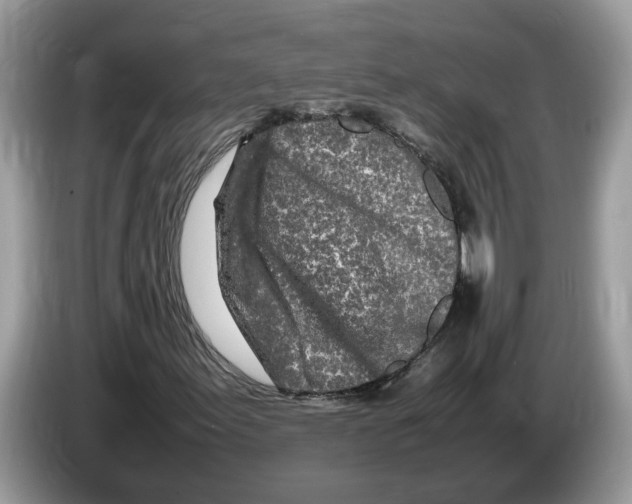 X0000086281155200704262030