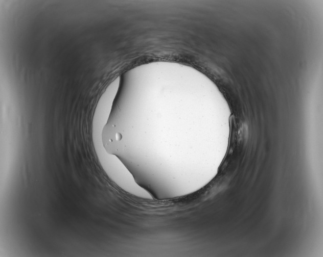 X0000086281156200704262030