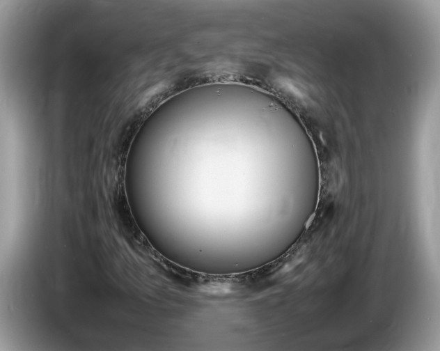 X0000086281157200704262030