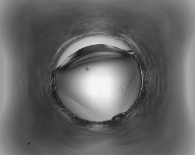 X0000086281160200704262030