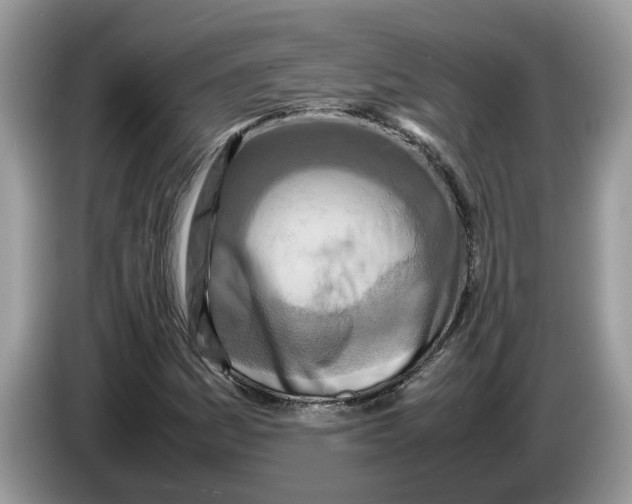 X0000086281161200704262030