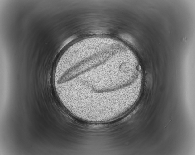 X0000086281162200704262030