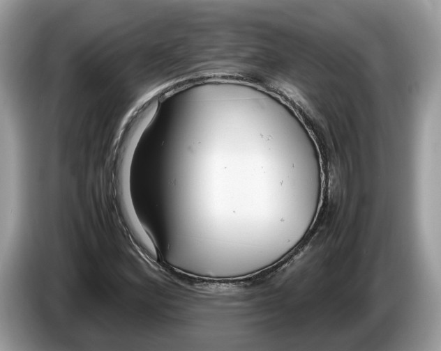 X0000086281164200704262030
