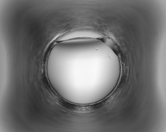 X0000086281165200704262030