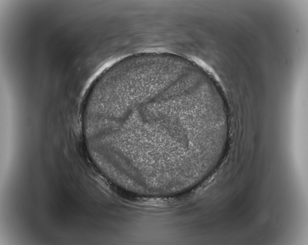 X0000086281167200704262030