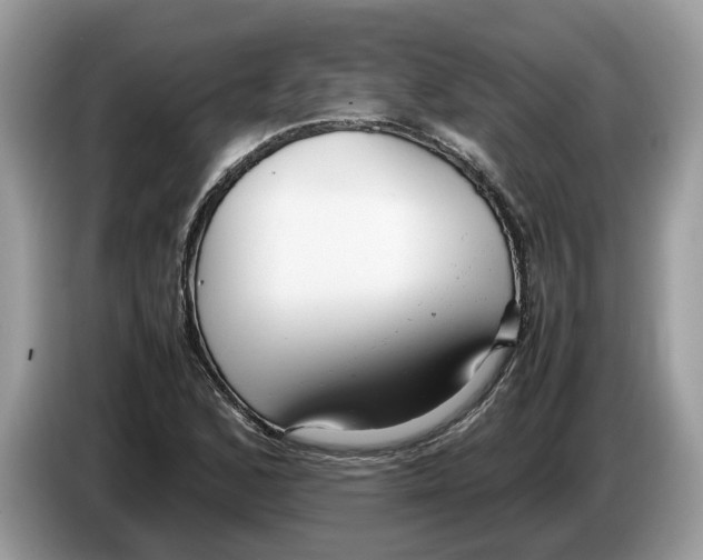 X0000086281168200704262030