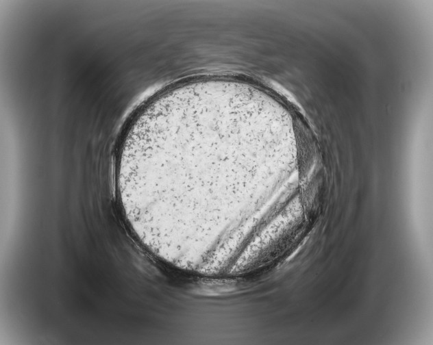 X0000086281171200704262030