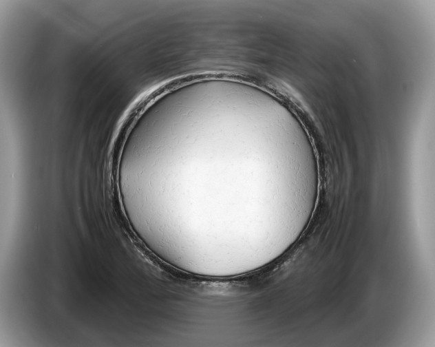 X0000086281172200704262030