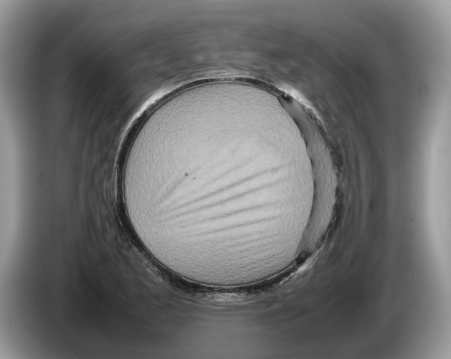 X0000086281173200704262030