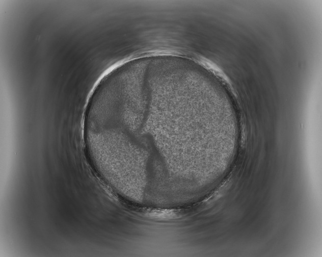 X0000086281174200704262030