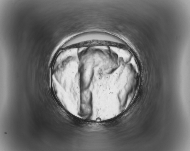 X0000086281175200704262030