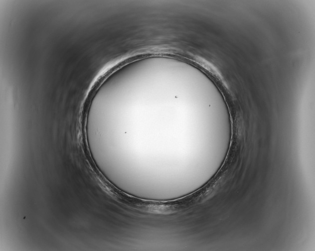 X0000086281176200704262030