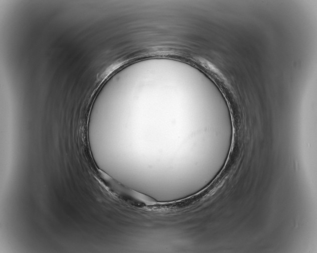 X0000086281177200704262030
