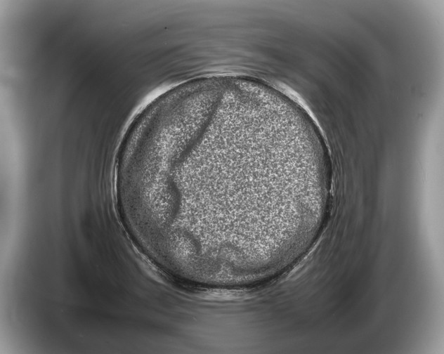 X0000086281179200704262030