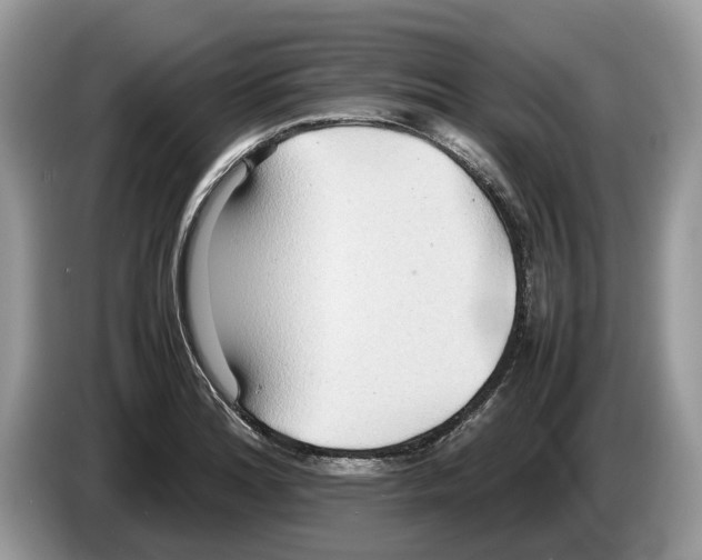 X0000086281180200704262030