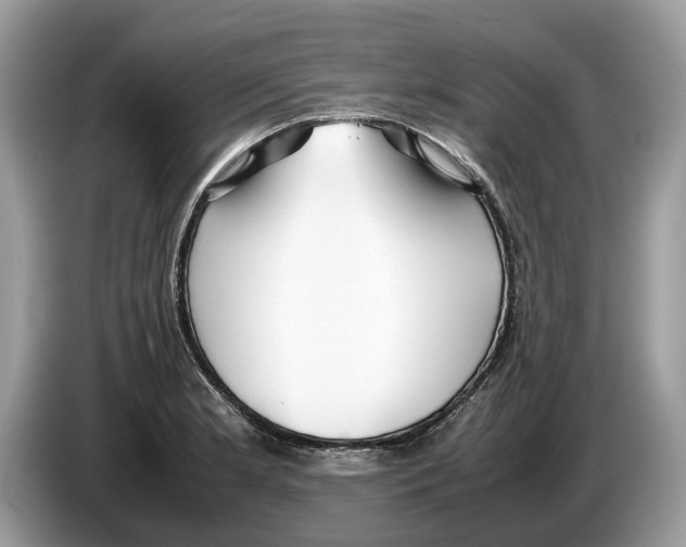 X0000086281181200704262030
