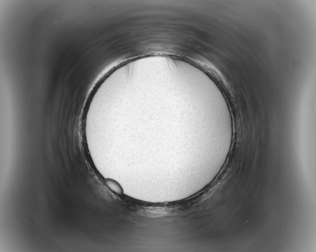 X0000086281182200704262030