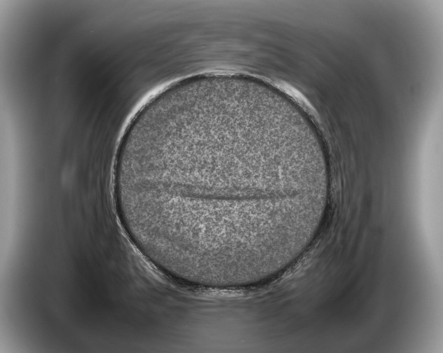X0000086281183200704262030