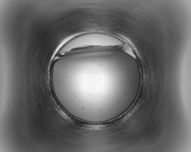 X0000086281184200704262030