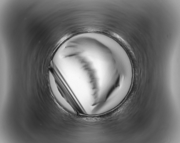X0000086281185200704262030