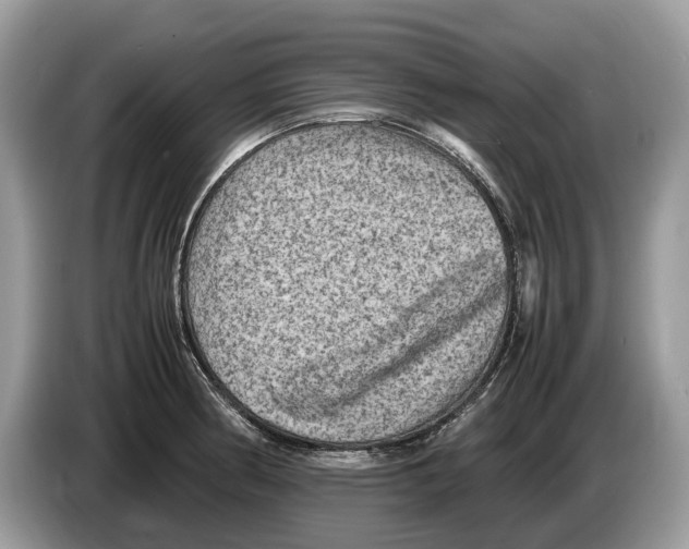 X0000086281186200704262030
