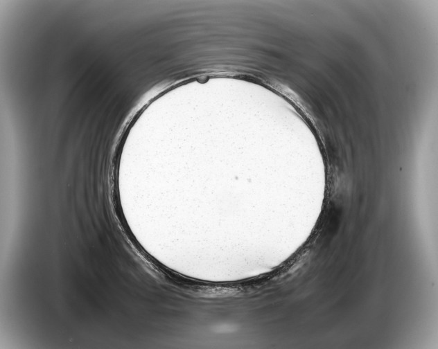X0000086281187200704262030