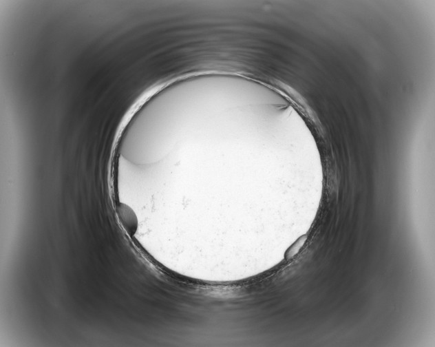 X0000086281188200704262030
