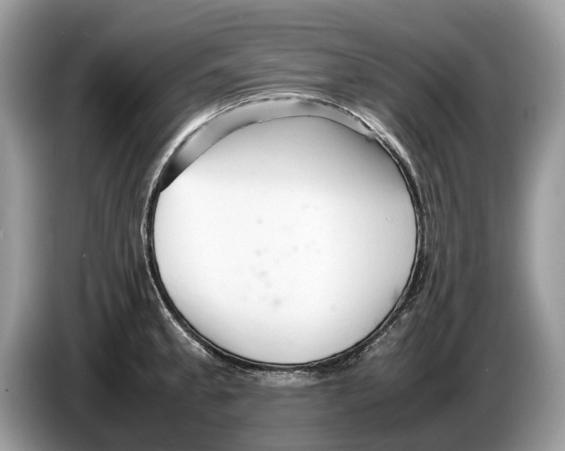 X0000086281189200704262030