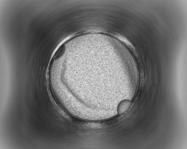 X0000086281190200704262030
