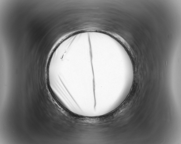 X0000086281191200704262030