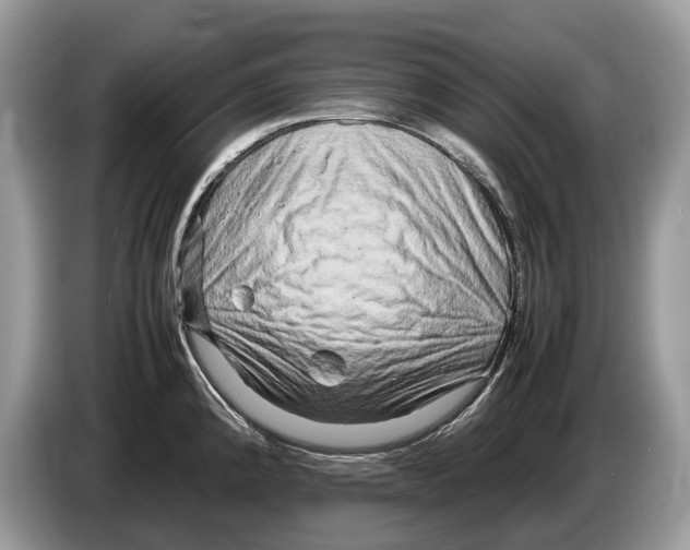 X0000086281192200704262030