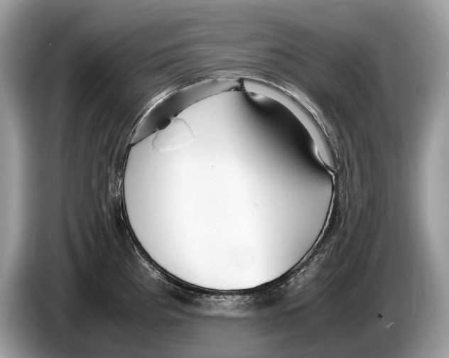 X0000086281193200704262030