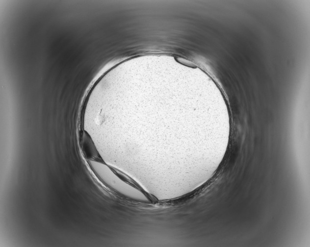 X0000086281195200704262030