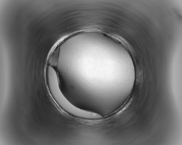 X0000086281196200704262030