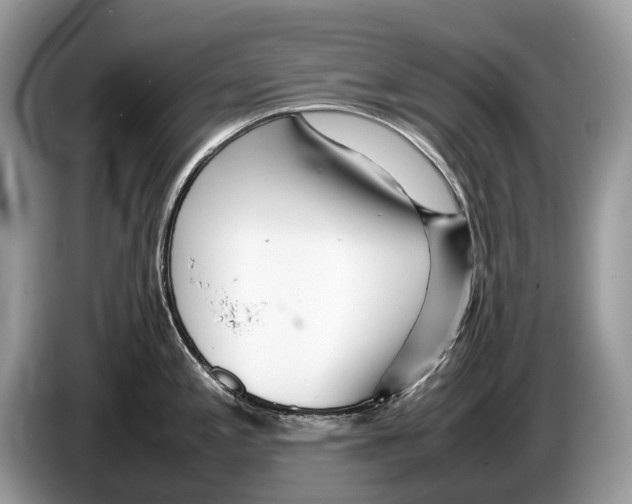 X0000086281197200704262030
