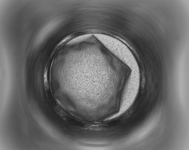 X0000086281198200704262030