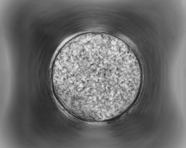 X0000086281200200704262030