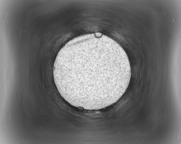 X0000086281201200704262029