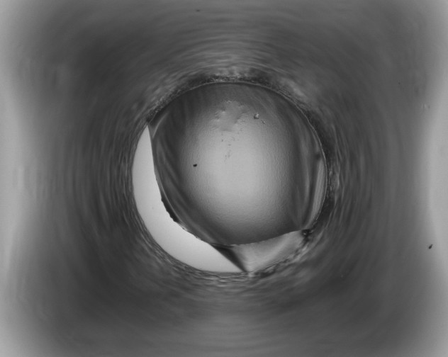 X0000086281202200704262029