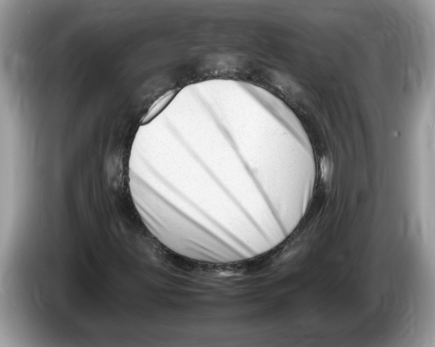 X0000086281203200704262029