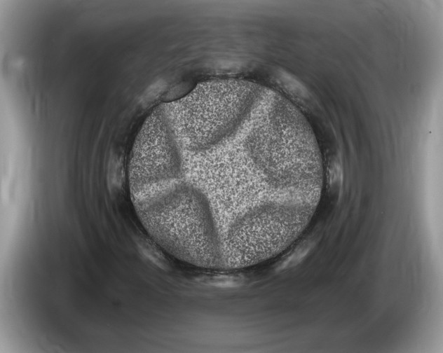 X0000086281204200704262029