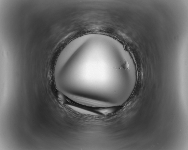 X0000086281206200704262029