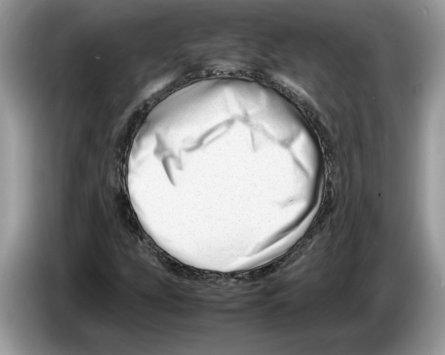 X0000086281207200704262029
