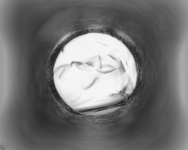 X0000086281208200704262029