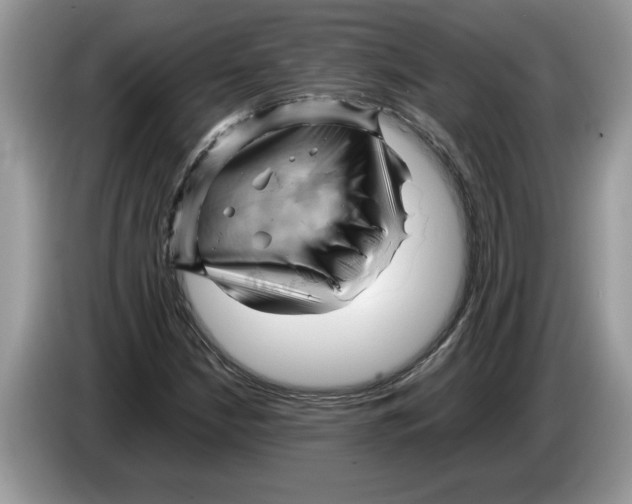 X0000086281210200704262029