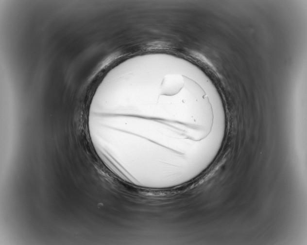 X0000086281211200704262029