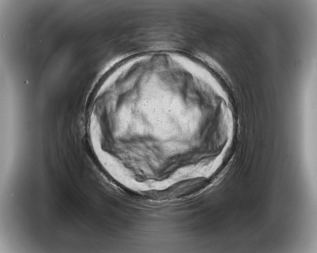 X0000086281212200704262029