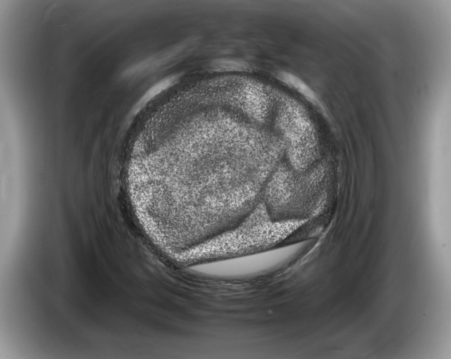 X0000086281213200704262029